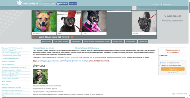 Security scan screenshot of https://vozmi-sobaky.ru