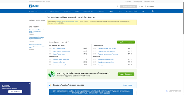 Security scan screenshot of https://meatinfo.ru