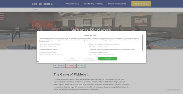 Security scan screenshot of https://lets-play-pickleball.com/what-is-pickleball/