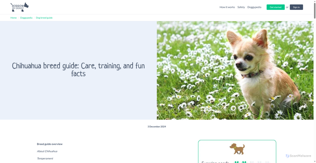 Security scan screenshot of https://www.borrowmydoggy.com/doggypedia/dog-breed-guides-chihuahua