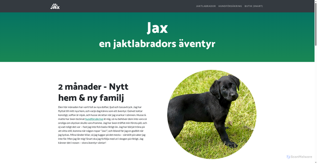 Security scan screenshot of https://jax.nu