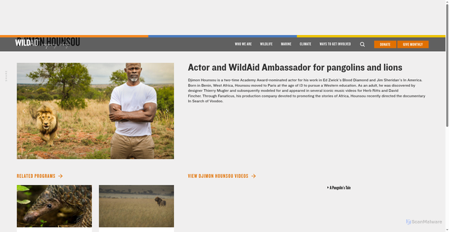 Security scan screenshot of https://wildaid.org/ambassadors/djimon-hounsou/