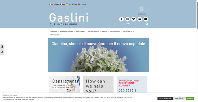 Security scan screenshot of https://www.gaslini.org/