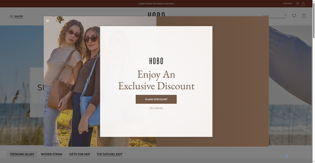 Security scan screenshot of https://hobobags.com