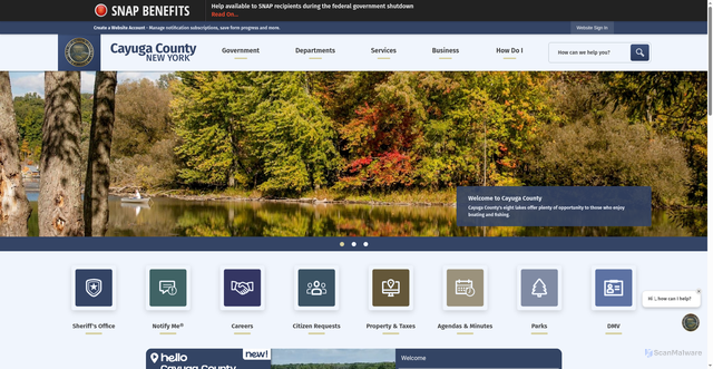 Security scan screenshot of https://www.cayugacounty.us/