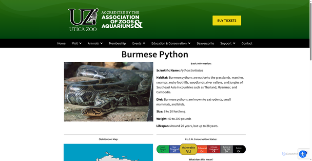 Security scan screenshot of https://www.uticazoo.org/burmesepython/