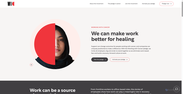 Security scan screenshot of https://workingwithcancerpledge.com