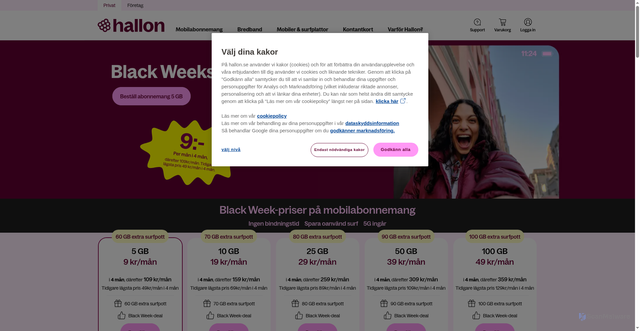 Security scan screenshot of https://www.hallon.se/
