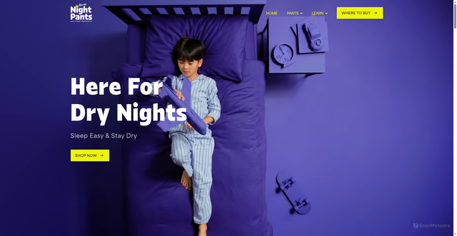 Security scan screenshot of https://rascalsnightpants.com