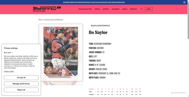 Security scan screenshot of https://ripped.topps.com/profile/mlb/bo-naylor/