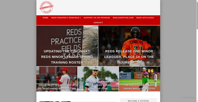 Security scan screenshot of https://www.redsminorleagues.com/