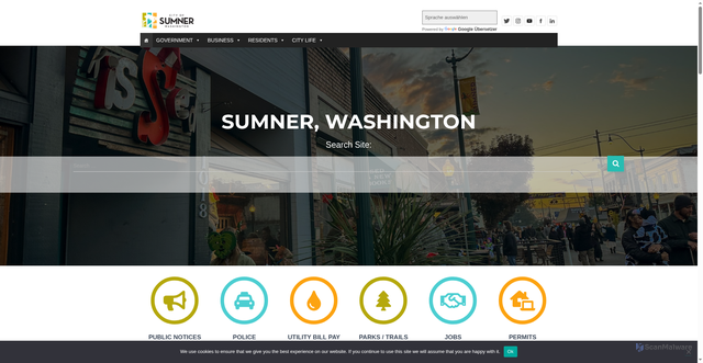 Security scan screenshot of https://sumnerwa.gov/