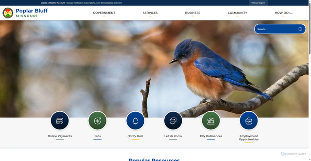 Security scan screenshot of https://poplarbluff-mo.gov/