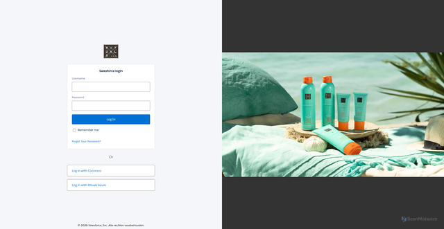 Security scan screenshot of https://rituals.lightning.force.com
