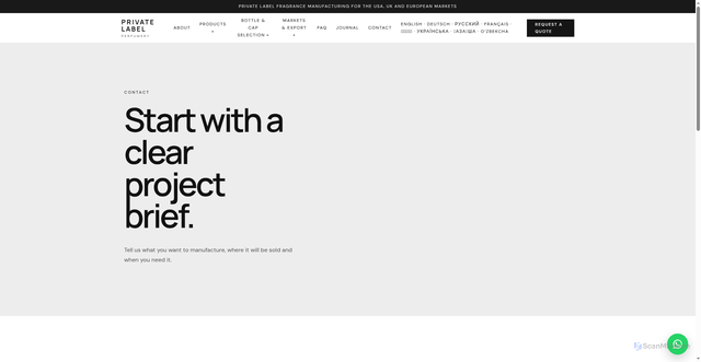 Security scan screenshot of fonts.googleapis.com