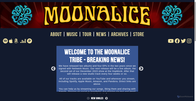 Security scan screenshot of https://moonalice.com