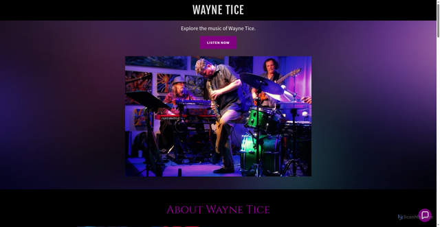 Security scan screenshot of https://waynetice.com/
