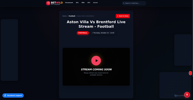 Security scan screenshot of http://betwild.cfd/live/football/aston-villa-vs-brentford/ppv-aston-villa-vs-brentford/