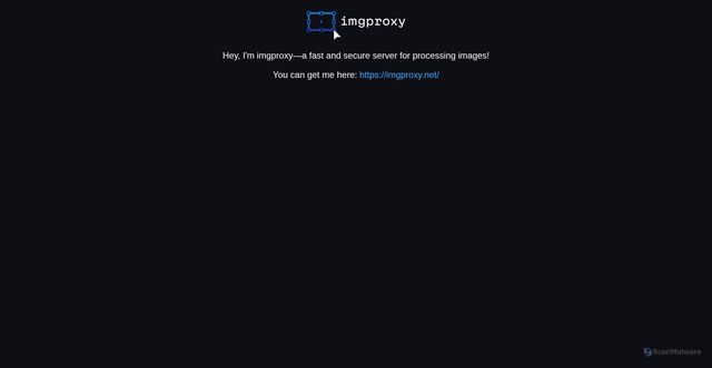 Security scan screenshot of https://img.picacomic.com
