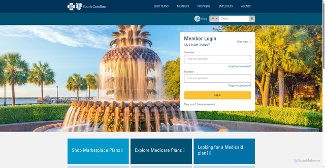 Security scan screenshot of https://southcarolinablues.com