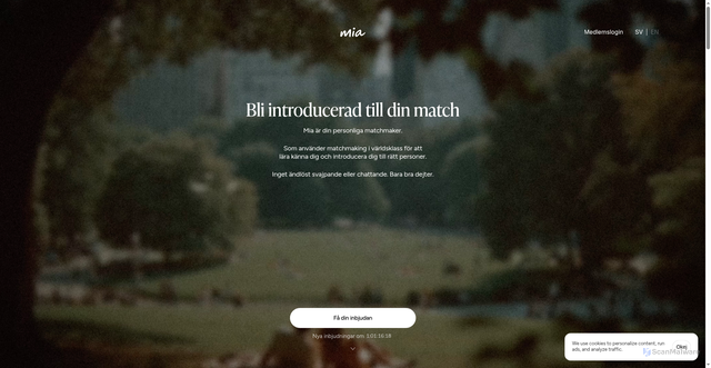Security scan screenshot of https://www.mia-matchmaking.com/