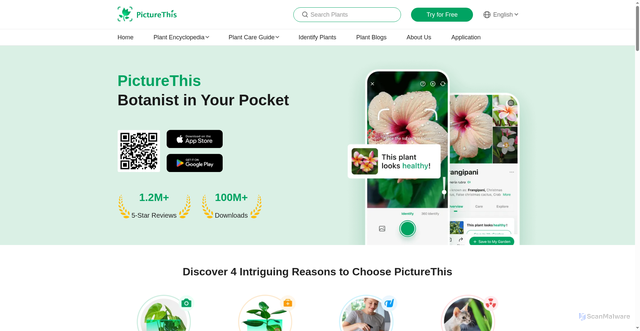 Security scan screenshot of https://www.picturethisai.com