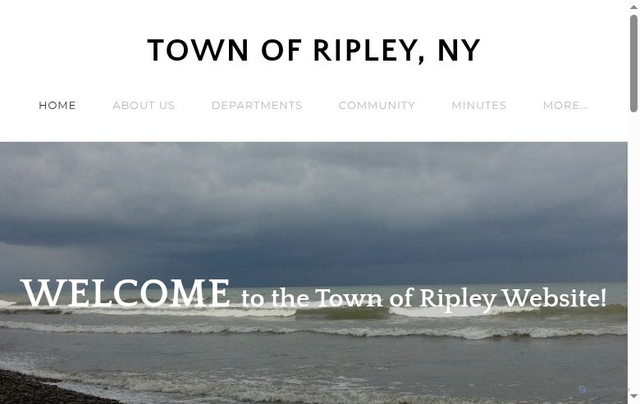 Security scan screenshot of https://www.ripleyny.gov/