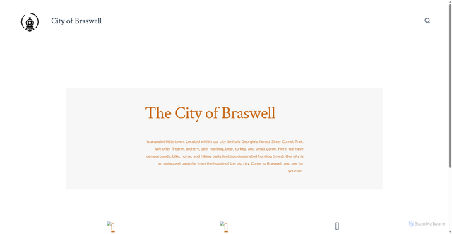 Security scan screenshot of https://braswellga.gov/
