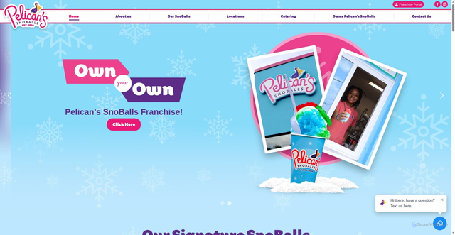 Security scan screenshot of https://pelicanssnoballs.com/