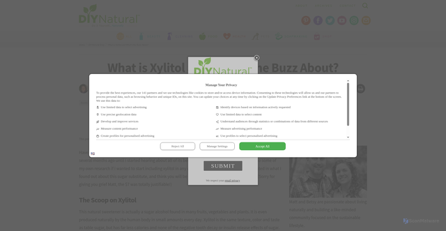 Security scan screenshot of https://diynatural.com/what-is-xylitol/