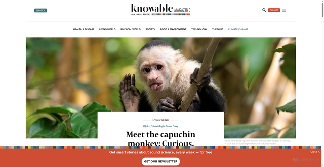 Security scan screenshot of https://knowablemagazine.org/content/article/living-world/2025/meet-the-capuchin-monkey
