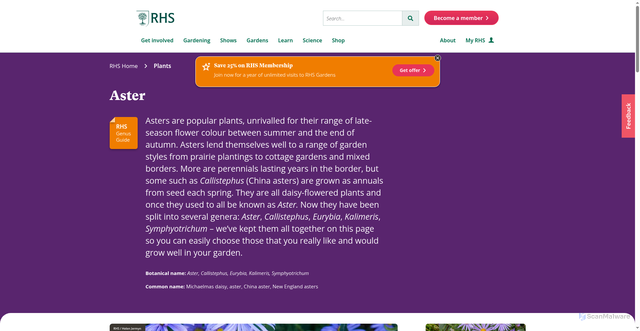 Security scan screenshot of https://www.rhs.org.uk/plants/aster