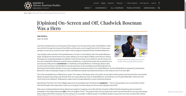 Security scan screenshot of https://aas.princeton.edu/news/opinion-screen-and-chadwick-boseman-was-hero
