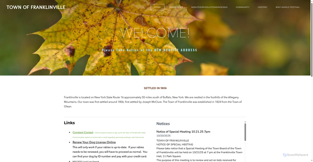 Security scan screenshot of https://www.townoffranklinvilleny.gov/