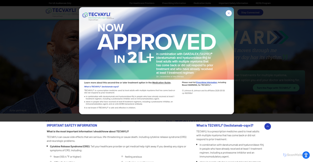 Security scan screenshot of https://tecvayli.com