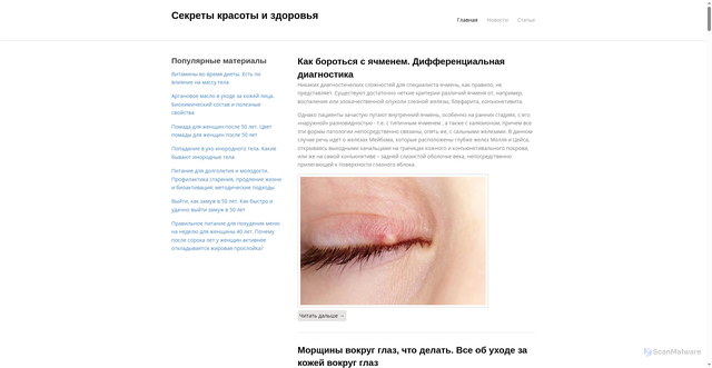 Security scan screenshot of https://pohudeymax.ru
