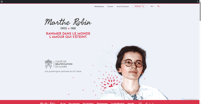 Security scan screenshot of https://martherobin.com