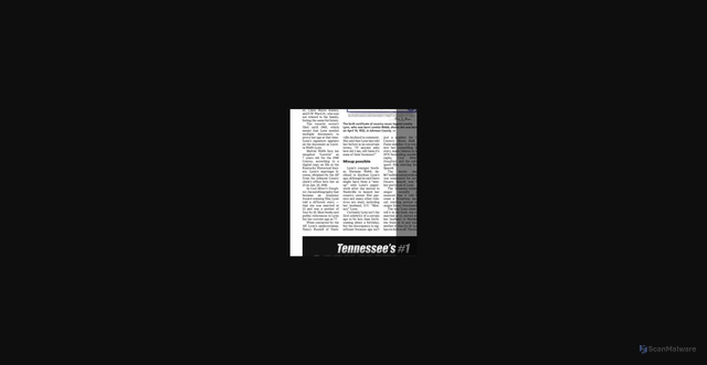 Security scan screenshot of https://img.newspapers.com/img/thumbnail/105240375/400/400/0_1800_1300_1800.jpg