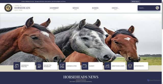 Security scan screenshot of https://townofhorseheads.gov/