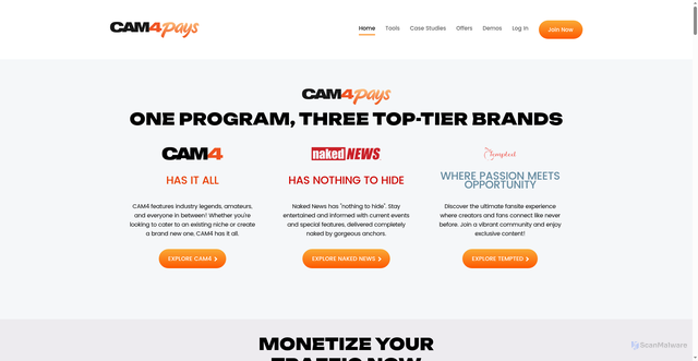 Security scan screenshot of https://cam4pays.com