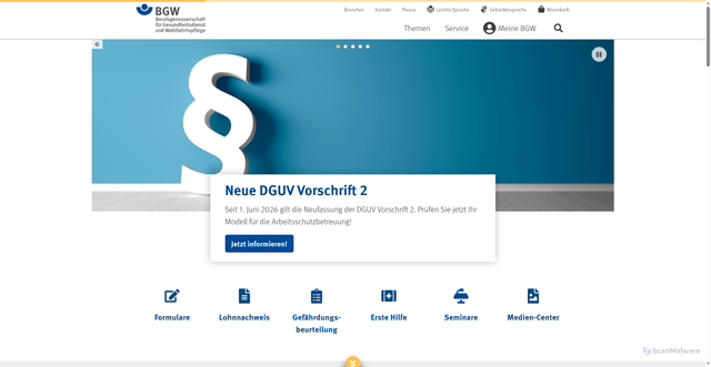 Security scan screenshot of http://www.bgw-online.de