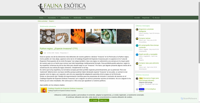 Security scan screenshot of https://faunaexotica.net