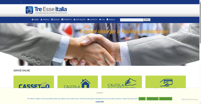 Security scan screenshot of https://www.treesseitalia.it