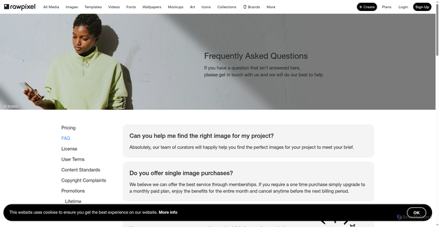 Security scan screenshot of https://www.rawpixel.com/services/faq