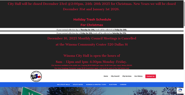 Security scan screenshot of https://www.winonatx.gov/
