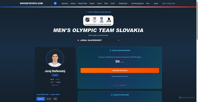 Security scan screenshot of https://hockeystats.com/olympics/teams/slovakia