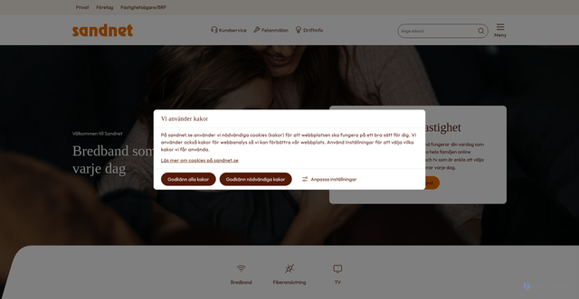 Security scan screenshot of https://sandnet.se