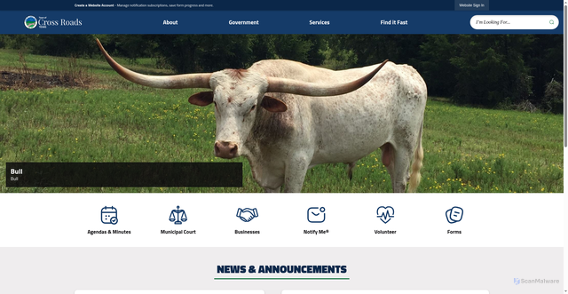 Security scan screenshot of https://crossroadstx.gov/
