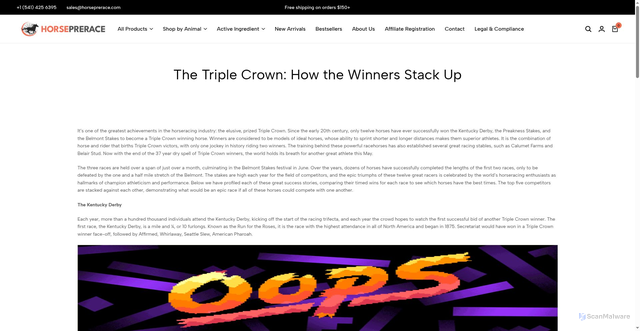 Security scan screenshot of https://horseprerace.com/triple-crown-winners/