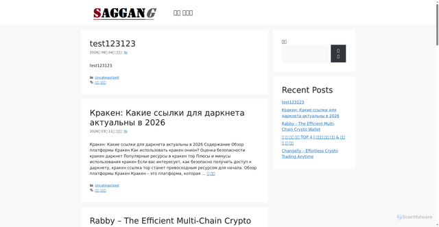 Security scan screenshot of https://saggang.com
